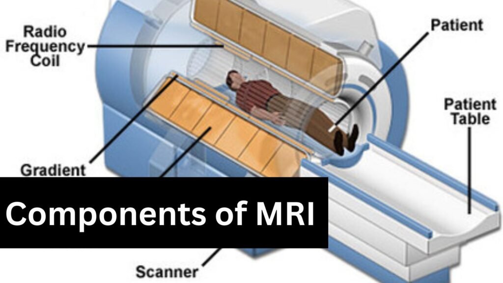 MRI Machine: The Most Important Components. - CTMRIHUB