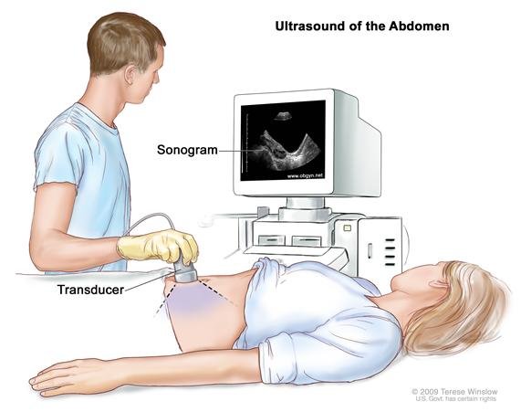 Understanding Ultrasound